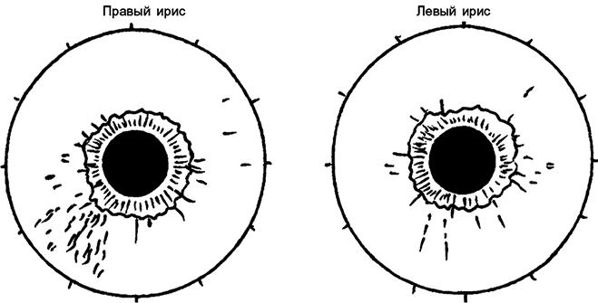 Целебная натуротерапия