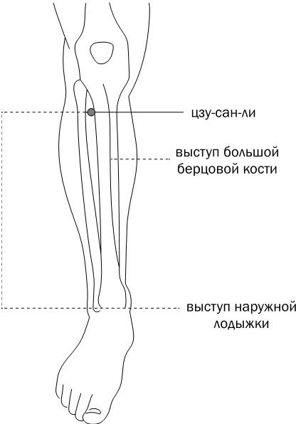 Активное долголетие. Упражнения для крепкого здоровья, бодрости, иммунитета