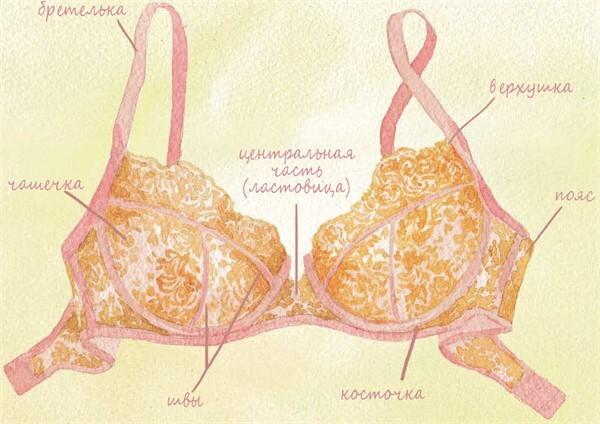 Важная деталь. Как выбирать, носить и любить нижнее белье