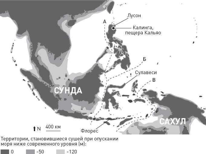 Эволюция человека. Книга 3. Кости, гены и культура