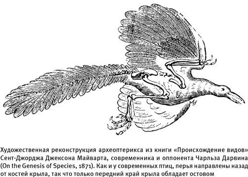 Путеводитель зоолога по Галактике. Что земные животные могут рассказать об инопланетянах – и о нас самих