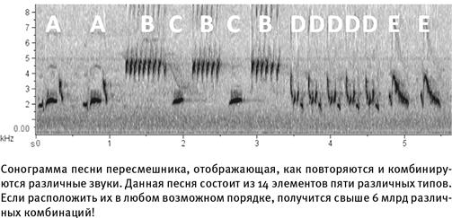 Путеводитель зоолога по Галактике. Что земные животные могут рассказать об инопланетянах – и о нас самих