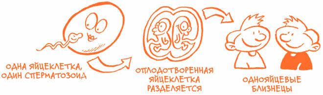 Парням о важном. Все, что ты хотел знать о взрослении, изменениях тела, отношениях и многом другом