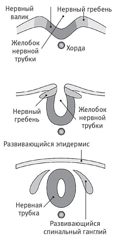 Перерастая бога. Пособие для начинающих