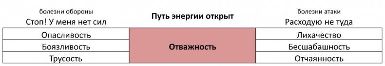 ЧЕЛОВЕК: руководство по эксплуатации