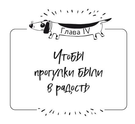 Разумное собаководство. Советы ветеринара, как воспитать и вырастить щенка здоровым