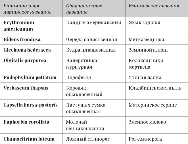 Колдовские травы. Ведьмовской путеводитель по тайным силам растений