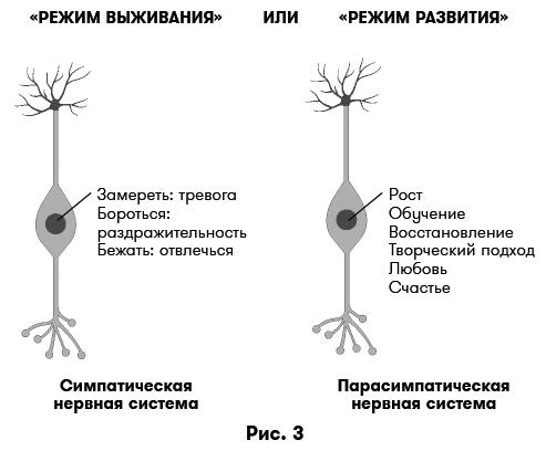 Цифровая дисциплина. Воспитание здоровых привычек в мире гаджетов и соцсетей