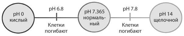 Лечебное дыхание. Новые методики оздоровления по системе доктора Бутейко