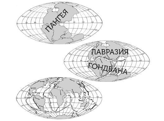 Краткая история динозавров