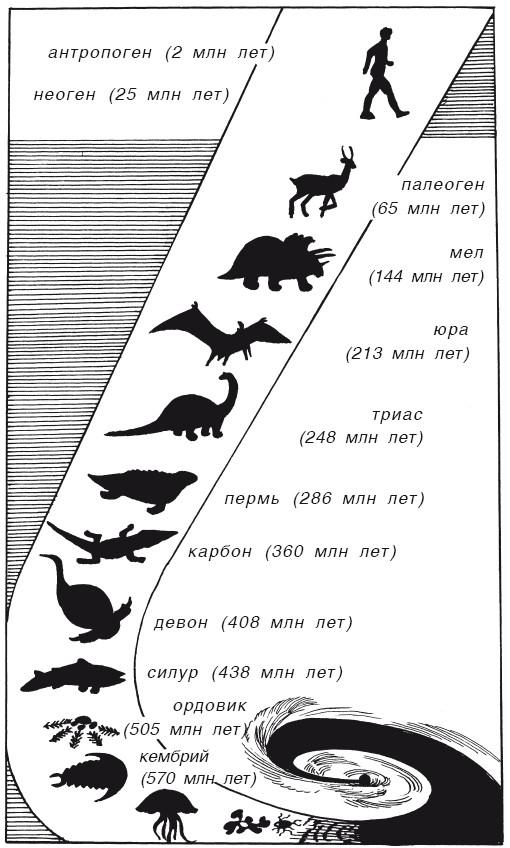 Краткая история динозавров