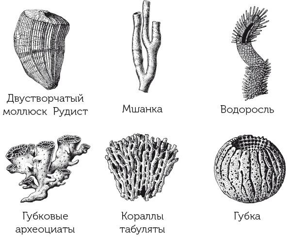 Краткая история динозавров