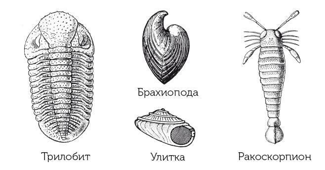 Краткая история динозавров