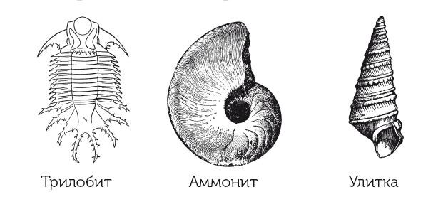 Краткая история динозавров