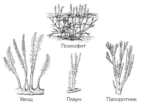 Краткая история динозавров