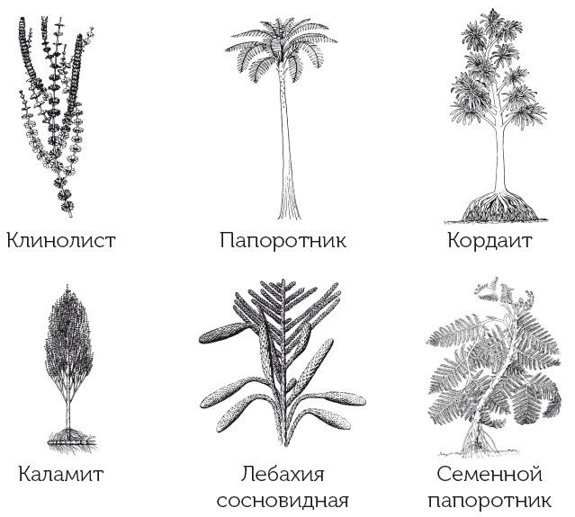 Краткая история динозавров