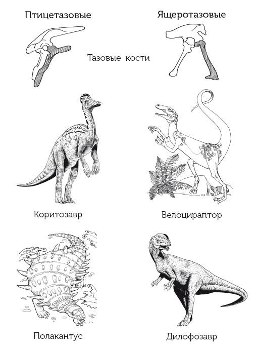 Краткая история динозавров