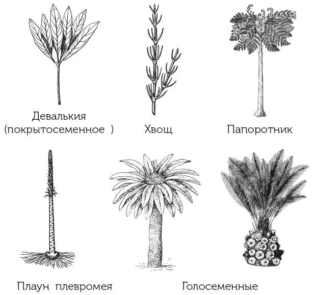 Краткая история динозавров