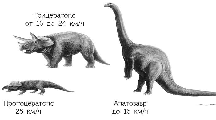 Краткая история динозавров