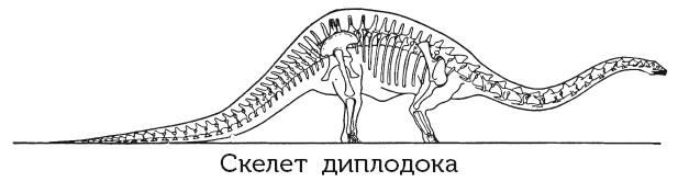 Краткая история динозавров