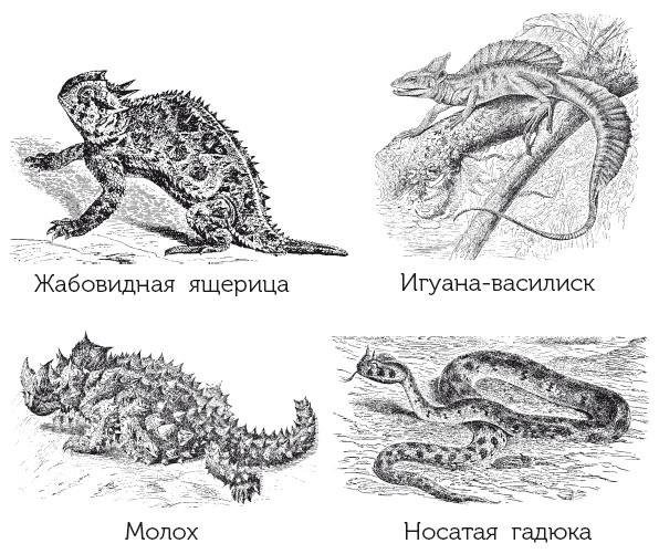 Краткая история динозавров