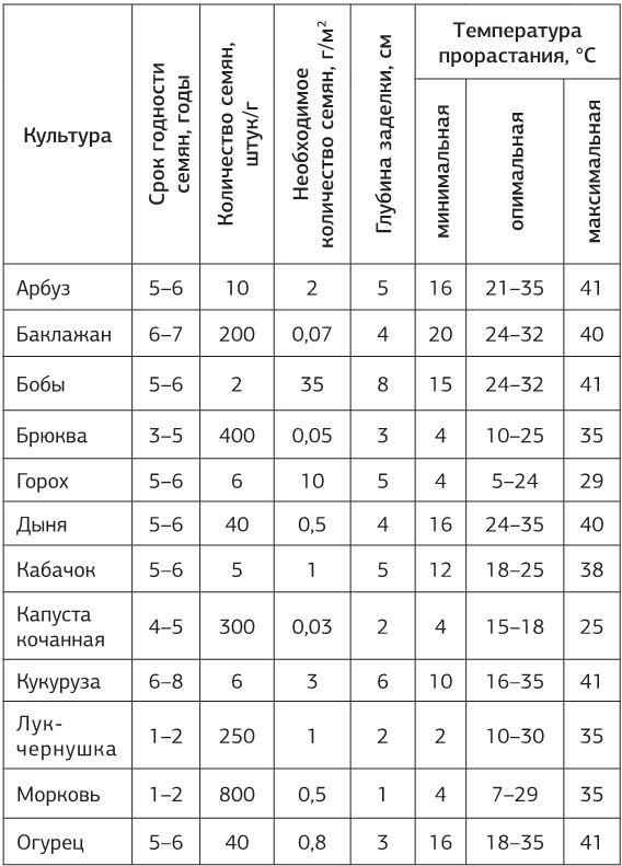 Как вырастить свою рассаду и разбить правильные грядки