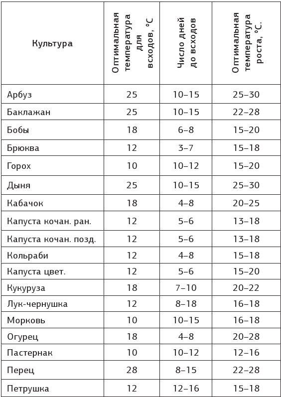 Как вырастить свою рассаду и разбить правильные грядки