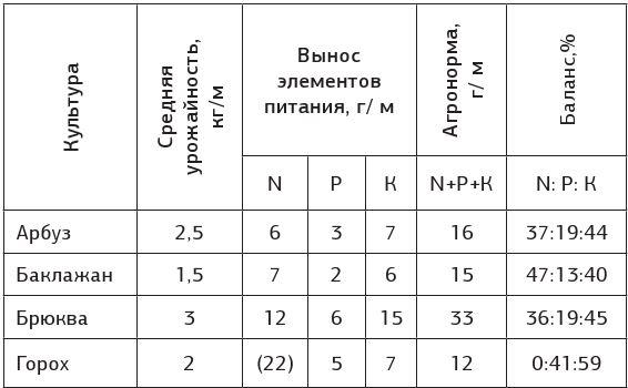 Как вырастить свою рассаду и разбить правильные грядки