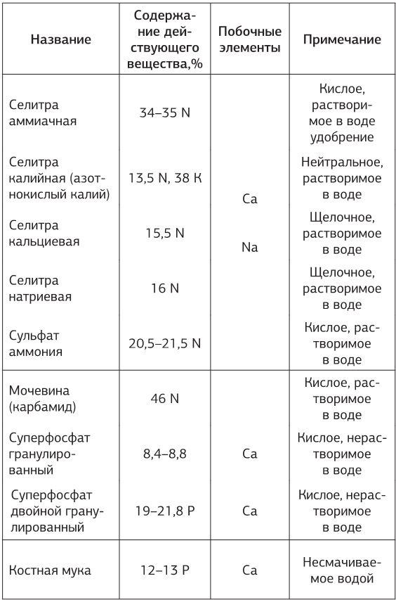 Как вырастить свою рассаду и разбить правильные грядки