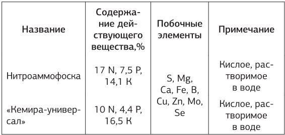 Как вырастить свою рассаду и разбить правильные грядки