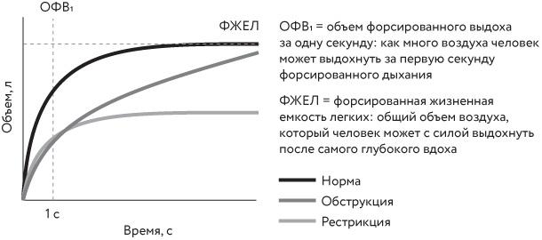 Чудо дыхания. Как работают наши легкие и как поддержать их здоровье