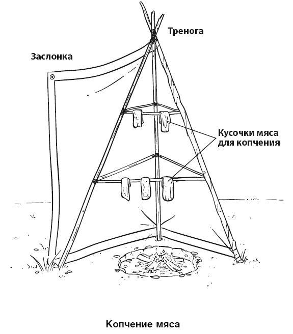 Бушкрафт 101. Современное руководство по искусству выживания в дикой природе