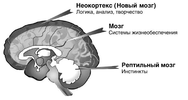 Как разумные люди создают безумный мир. Обновлённое издание