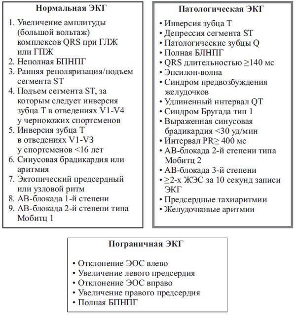 Сердце спортсмена. Актуальные проблемы спортивной кардиологии