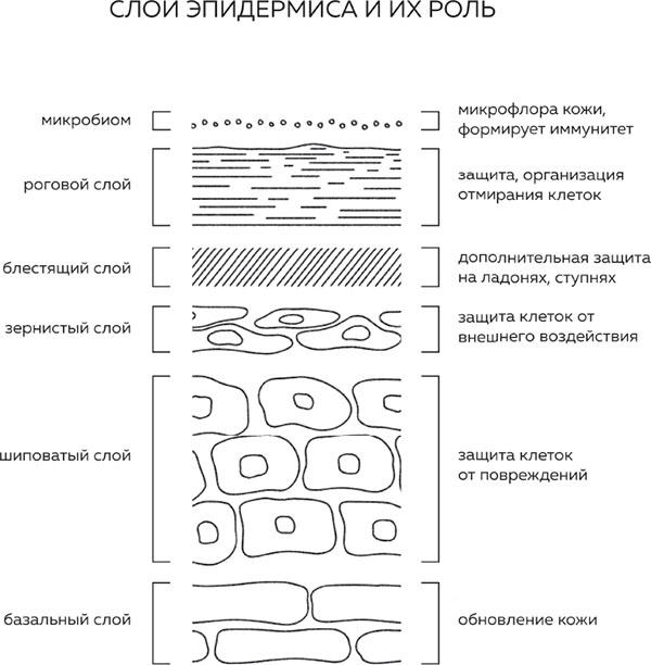 Бьюти на всю голову. Все, что нужно знать о современном уходе, инновациях в косметике и уловках индустрии красоты