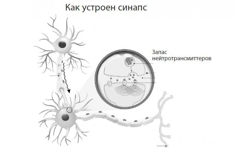 Как технарю общаться с не-технарями