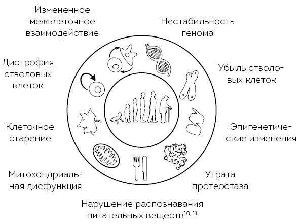 Что мы знаем (и не знаем) о еде. Научные факты, которые перевернут ваши представления о питании