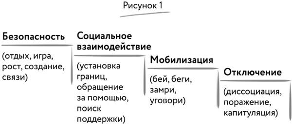 Мудрость тела. Как обрести уверенность в себе, улучшить самочувствие и наконец-то получать удовольствие от жизни