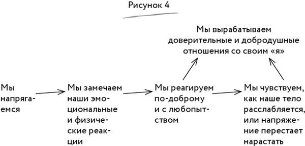 Мудрость тела. Как обрести уверенность в себе, улучшить самочувствие и наконец-то получать удовольствие от жизни