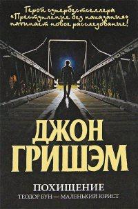 Книга « Похищение. Теодор Бун - маленький юрист » - читать онлайн