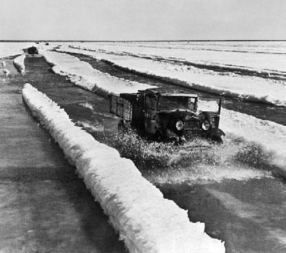 Блокада Ленинграда. Полная хроника - 900 дней и ночей