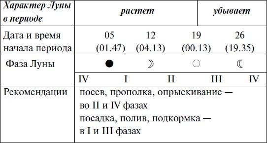 Что и когда сажать, защищать и удобрять. Календарь садовода до 2019 года