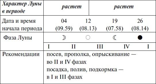 Что и когда сажать, защищать и удобрять. Календарь садовода до 2019 года