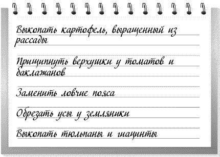 Сад и огород: все делаем вовремя. Сеем, удобряем, собираем