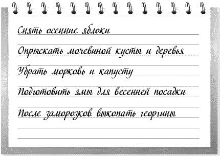 Сад и огород: все делаем вовремя. Сеем, удобряем, собираем