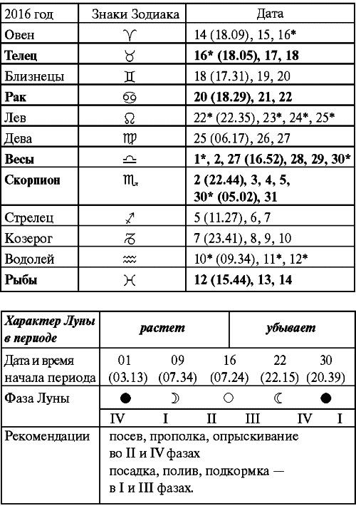 Сад и огород: все делаем вовремя. Сеем, удобряем, собираем