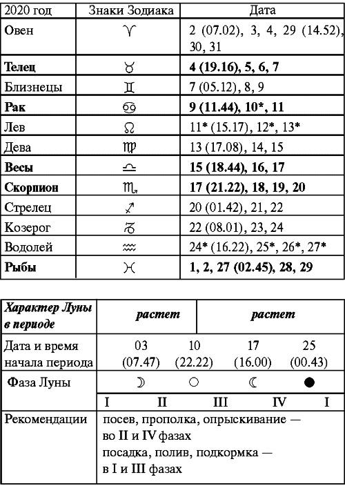 Сад и огород: все делаем вовремя. Сеем, удобряем, собираем