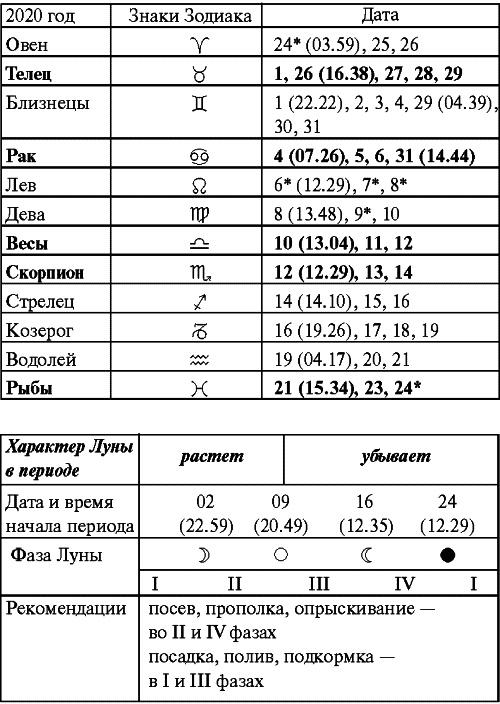 Сад и огород: все делаем вовремя. Сеем, удобряем, собираем