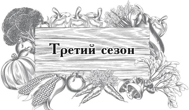 Большой урожай на маленьких грядках. Все секреты повышения урожайности