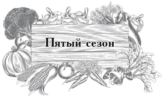 Большой урожай на маленьких грядках. Все секреты повышения урожайности